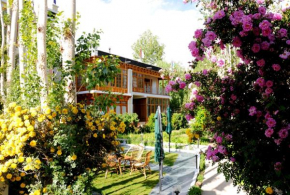  Hotel Ladakh Greens  Лех